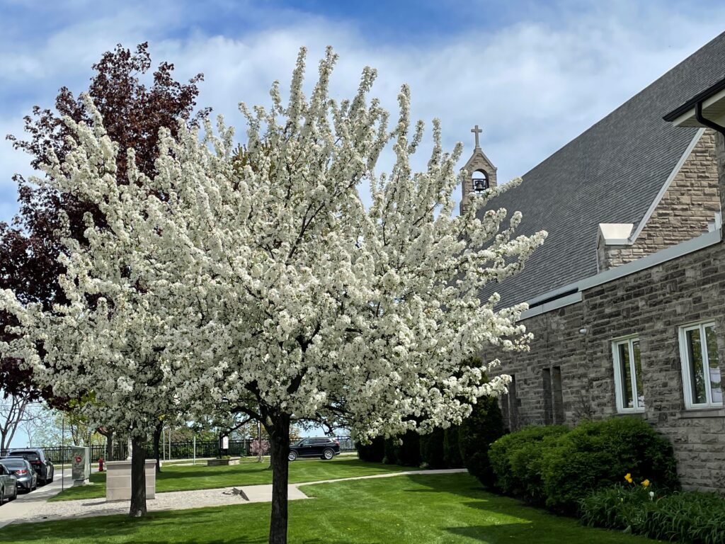 Spring is Here 2026!